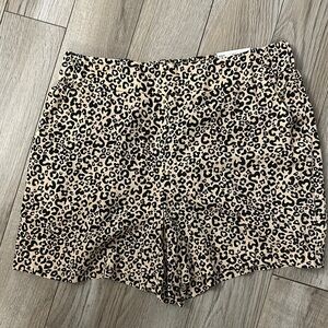 Leopard Print Women's Shorts
